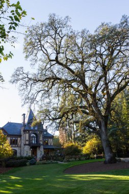 Birazdan Napa Vadisi, Kaliforniya