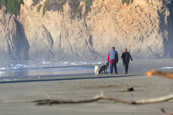 Caminar por la playa — Foto de Stock