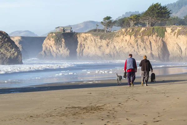 Wandelen op het strand — Stockfoto