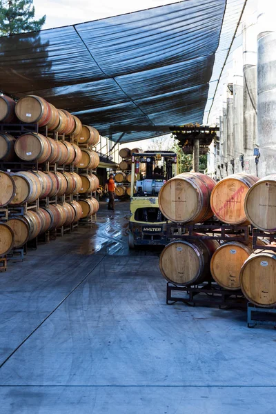 Wine making process — Stock Photo, Image