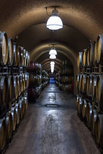 Wine aging process — Stock Photo, Image