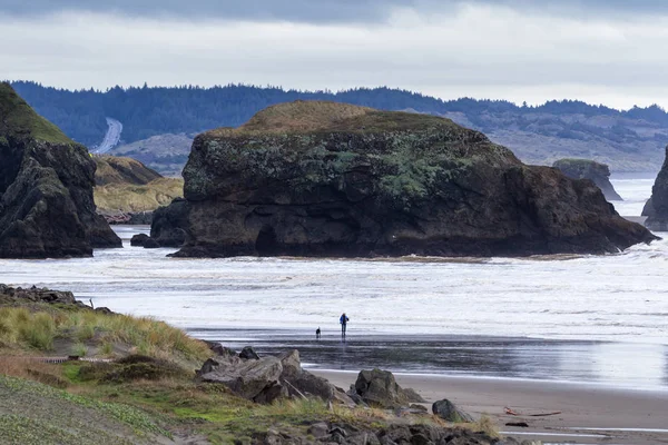 Famille explorant la plage — Photo