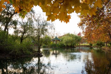 sakinleştirici sonbahar sahne 