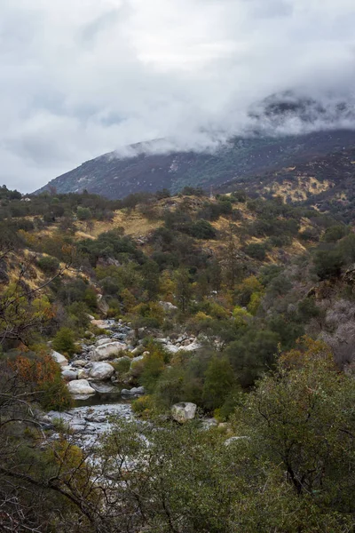 Rio das algas em Sequoia NP — Fotografia de Stock