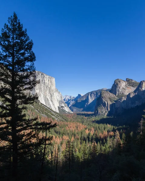 Vallée de Yosemite avec El Capitan et Half Dome — Photo