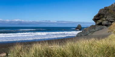 oregon kıyılarında 