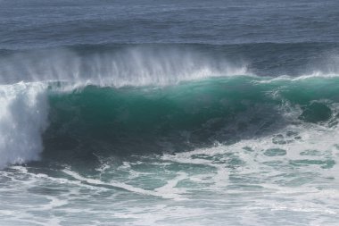 Kaliforniya'da renkli dalgalar 
