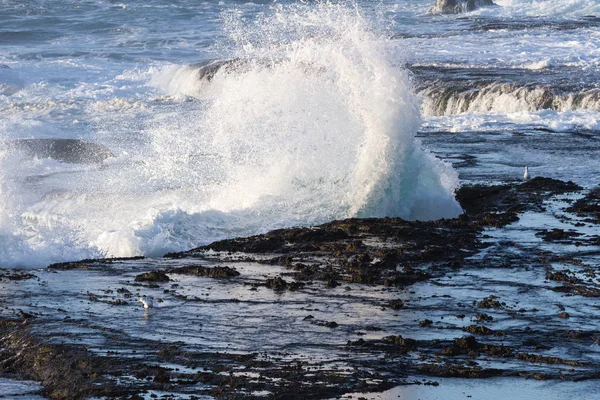 Onde che si infrangono sulle scogliere di lava — Foto Stock