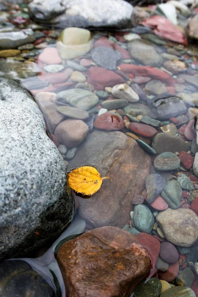 Φθινοπωρινό φύλλο στο νερό — Φωτογραφία Αρχείου