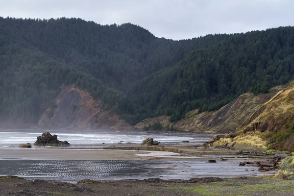 Costa dell'Oregon in una giornata nuvolosa — Foto Stock