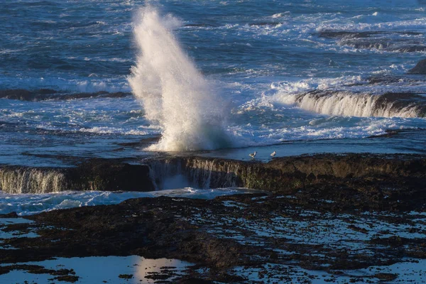Waves crashing on the lava rock bluffs — Stock Photo, Image