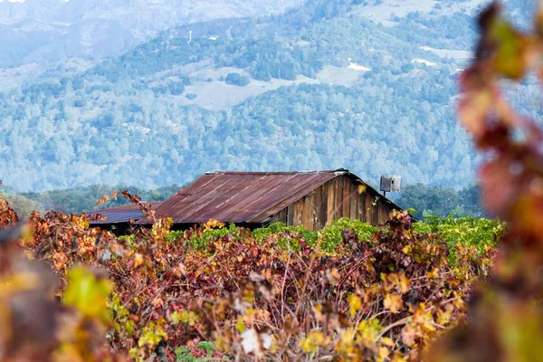 Edifício velho em uma vinha colorida — Fotografia de Stock