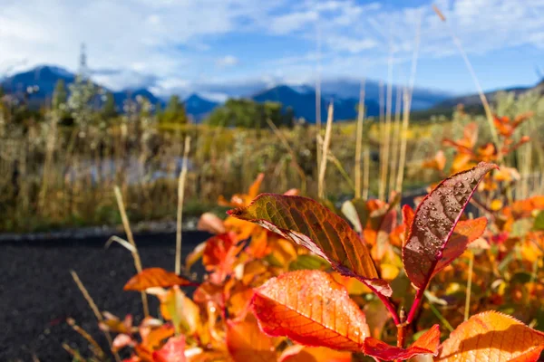 Otoño en las montañas —  Fotos de Stock