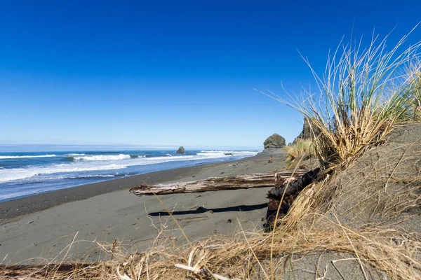 La costa de Oregon —  Fotos de Stock