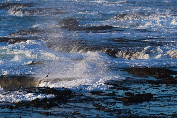 Vagues s'écrasant sur les falaises rocheuses de lave — Photo