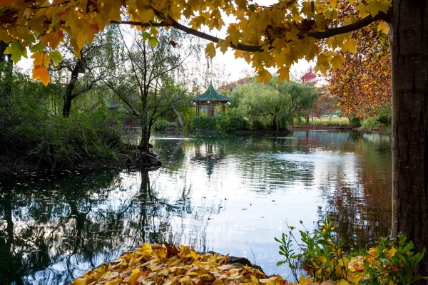 落ち着いた秋の風景 — ストック写真