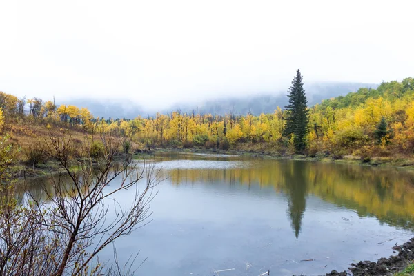 Herbst in Montana — Stockfoto