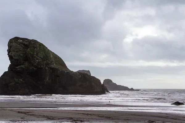 Costa dell'Oregon in una giornata nuvolosa — Foto Stock