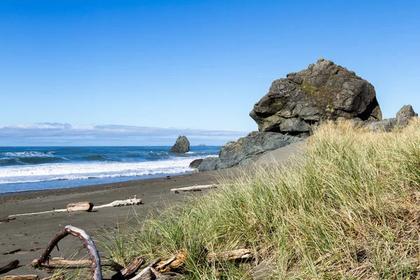 Die oregonische Küste — Stockfoto