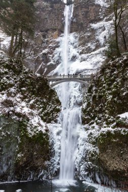 Buzlu Multnomah Falls Aralık 2016