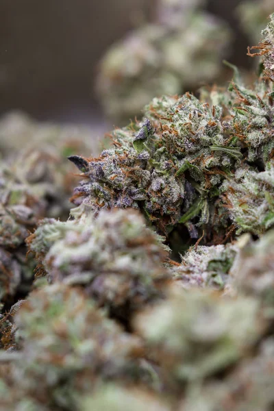 Detalhes sobre cannabis medicinal — Fotografia de Stock