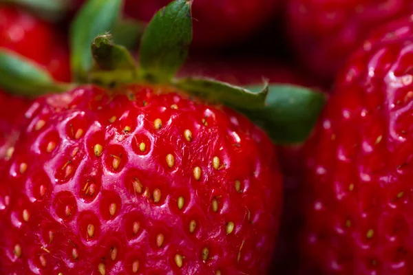 Rijpe rode aardbeien — Stockfoto