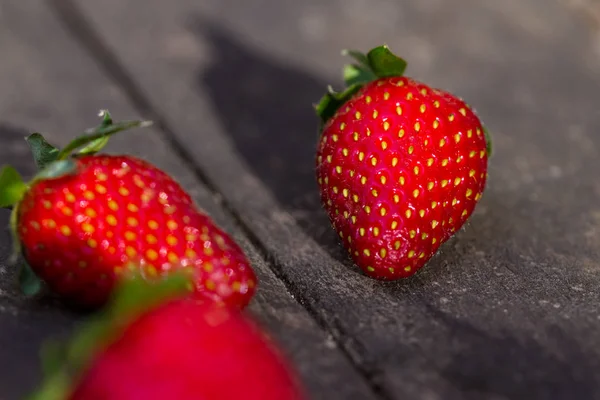 Reife rote Erdbeere — Stockfoto