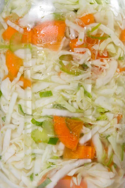 Home made fermented vegetables — Stock Photo, Image