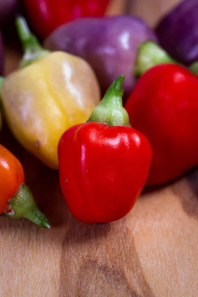 Miniatyr färgglada paprika — Stockfoto