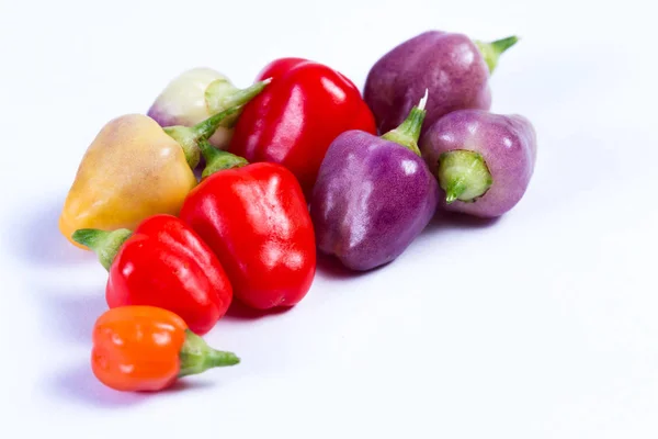 Miniatyr färgglada paprika — Stockfoto