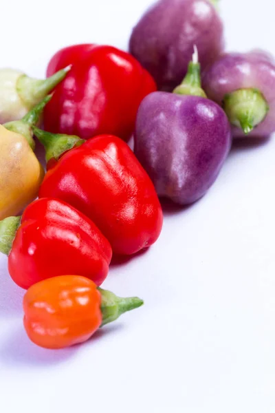 Miniatyr färgglada paprika — Stockfoto