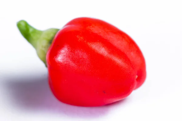 Färsk röd paprika — Stockfoto