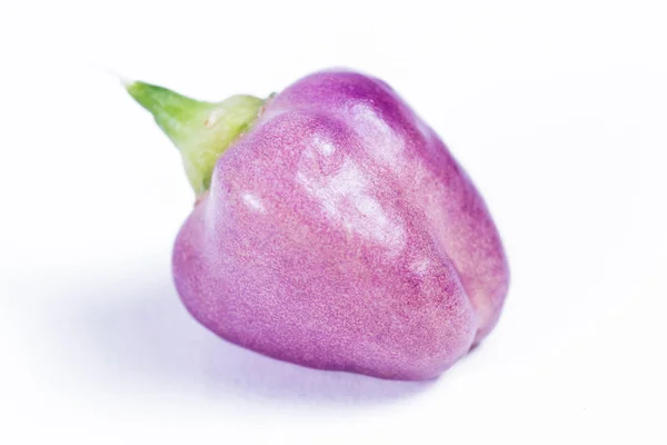 Peperoni viola freschi — Foto Stock
