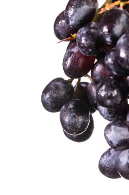 Beyaz üzerinde kara üzüm