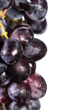 Beyaz üzerinde kara üzüm