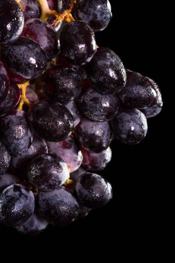 koyu mor üzüm 