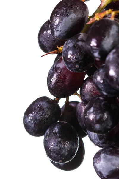Dark grapes over white — Stock Photo, Image