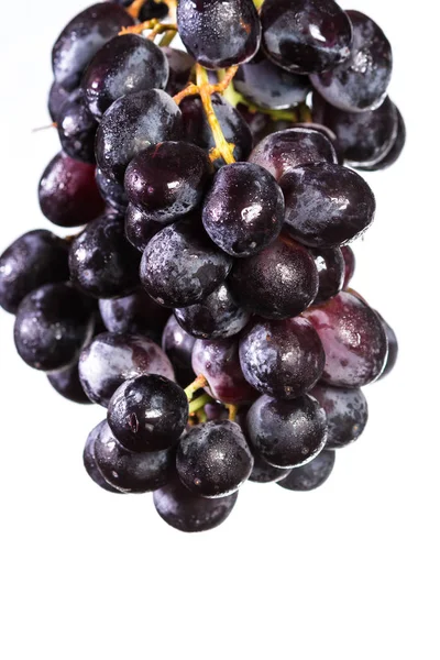 Dark grapes over white — Stock Photo, Image