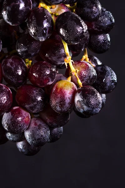 Dark purple grapes — Stock Photo, Image