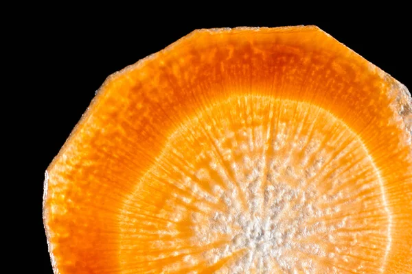 Rodajas de zanahoria macro —  Fotos de Stock