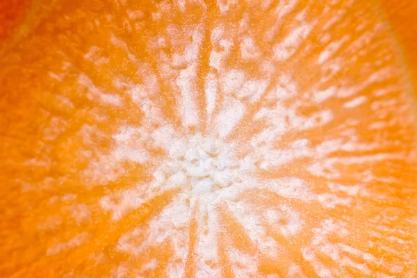 Sliced carrot macro — Stock Photo, Image