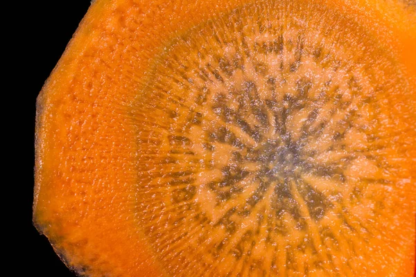 Sliced carrot macro — Stock Photo, Image