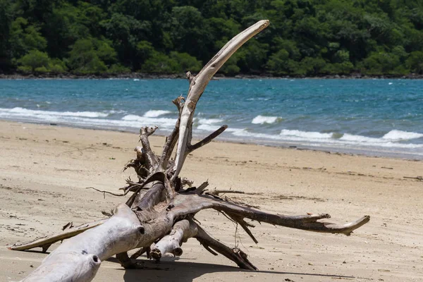 Playa Nacascolo, Costa Rica —  Fotos de Stock