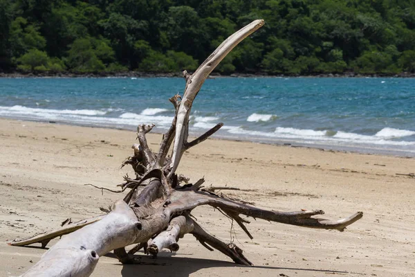 Nacascolo Beach, Costa Rica — Stockfoto