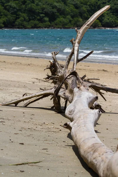 Spiaggia di Nacascolo, Costa Rica — Foto Stock