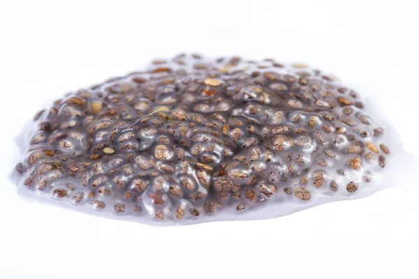 Wet chia seeds — Stock Photo, Image