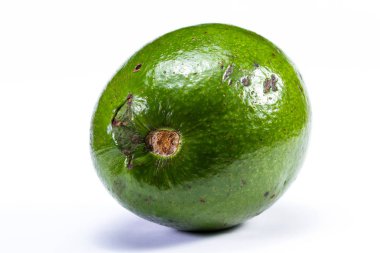 büyük yeşil avokado 