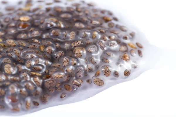 Wet chia seeds — Stock Photo, Image