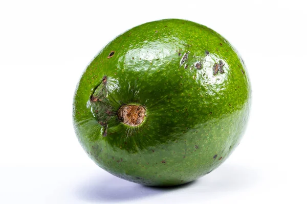 büyük yeşil avokado 