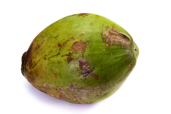 Čerstvý mladý kokos — Stock fotografie